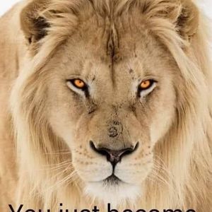 Meet your Posher, Daniell